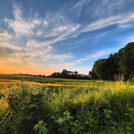 In Mit Sauna Groß Schwansee