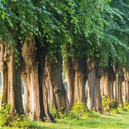 In Mit Sauna * Groß Schwansee