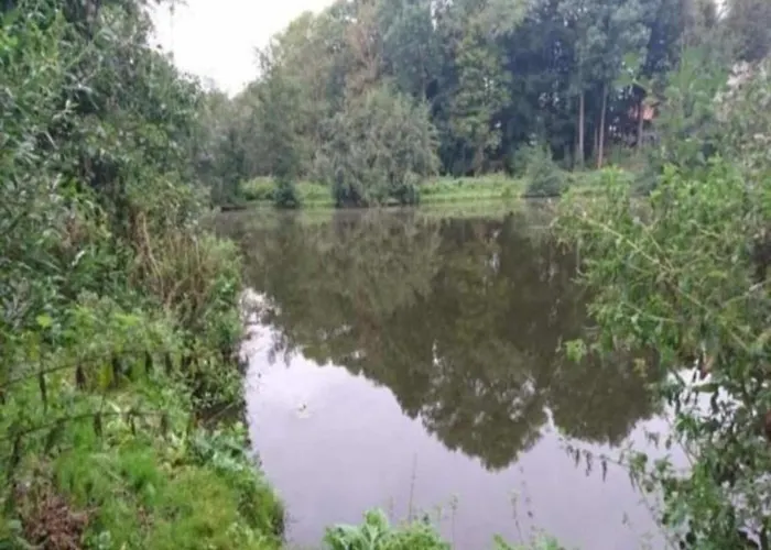 بيت للعطل In Mit Sauna Groß Schwansee