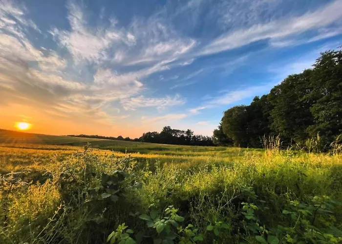 In Mit Sauna Groß Schwansee
