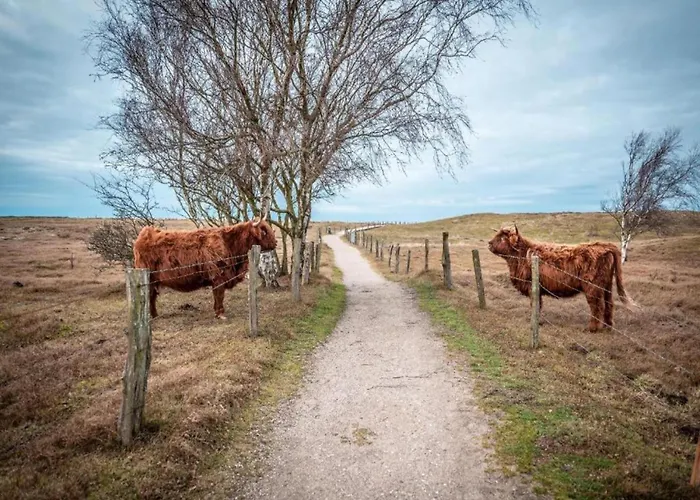 In Mit Sauna بيت للعطل *