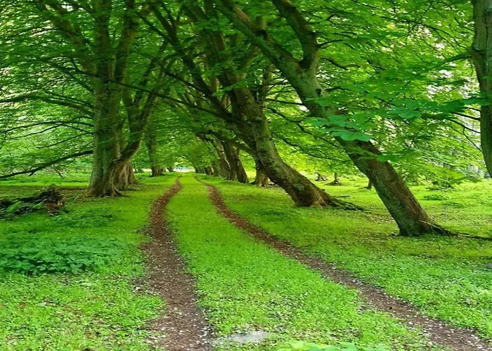 In Mit Sauna Groß Schwansee